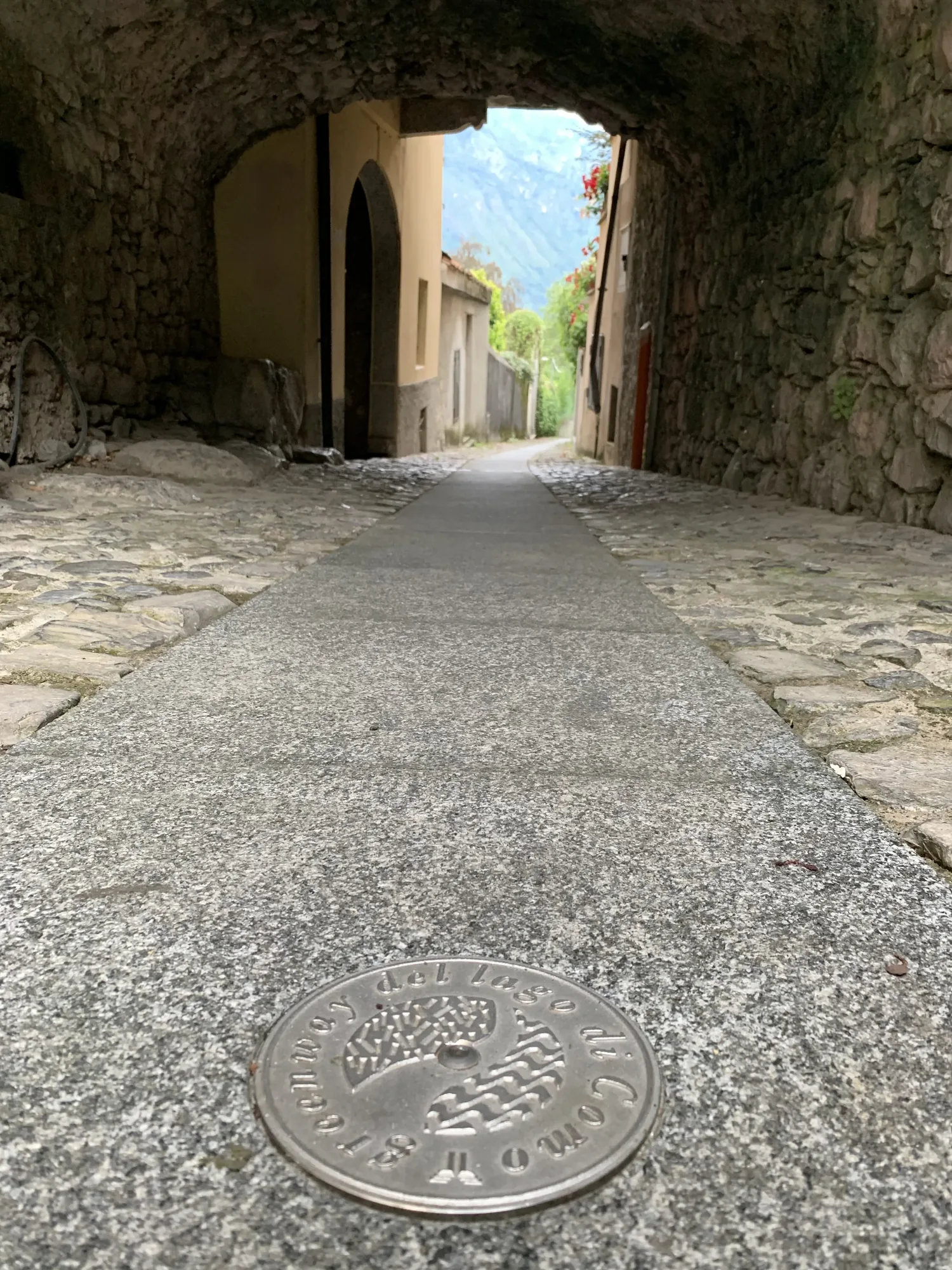 Monti